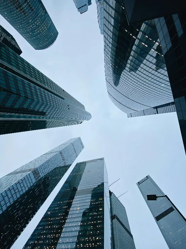 VAT groups in Portugal: what’s changing and how to prepare your business